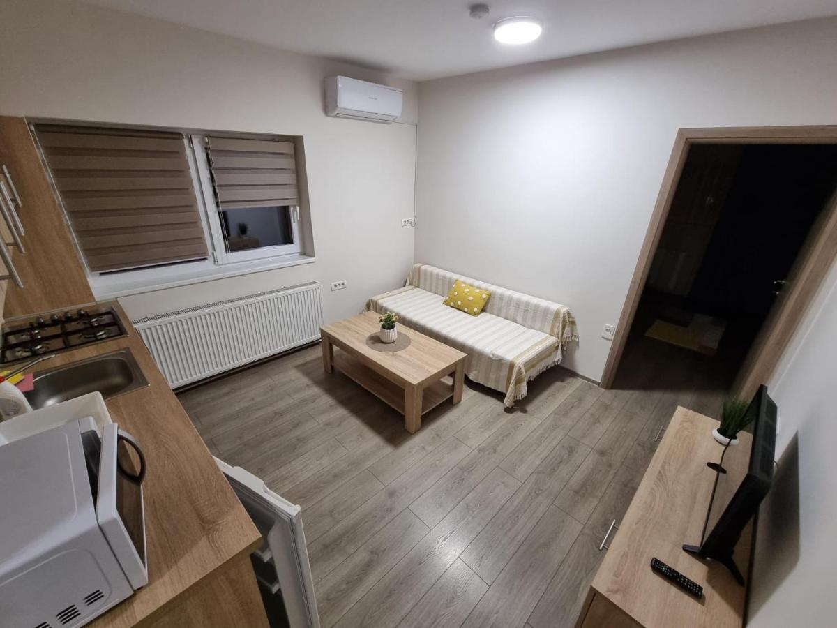 City Premium Apartments Timişoara Buitenkant foto