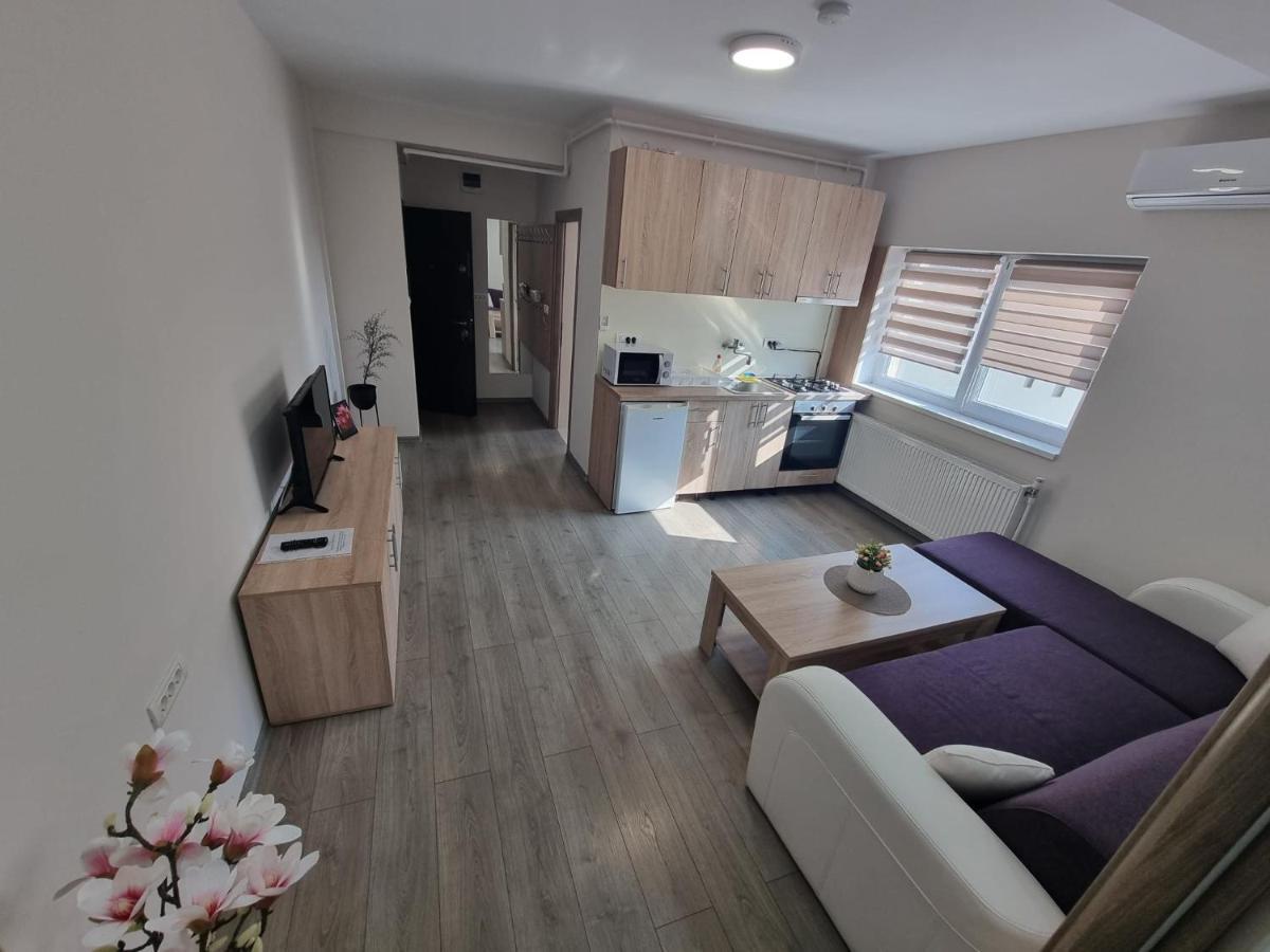 City Premium Apartments Timişoara Buitenkant foto
