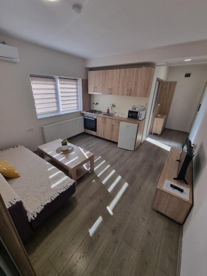 City Premium Apartments Timişoara Buitenkant foto