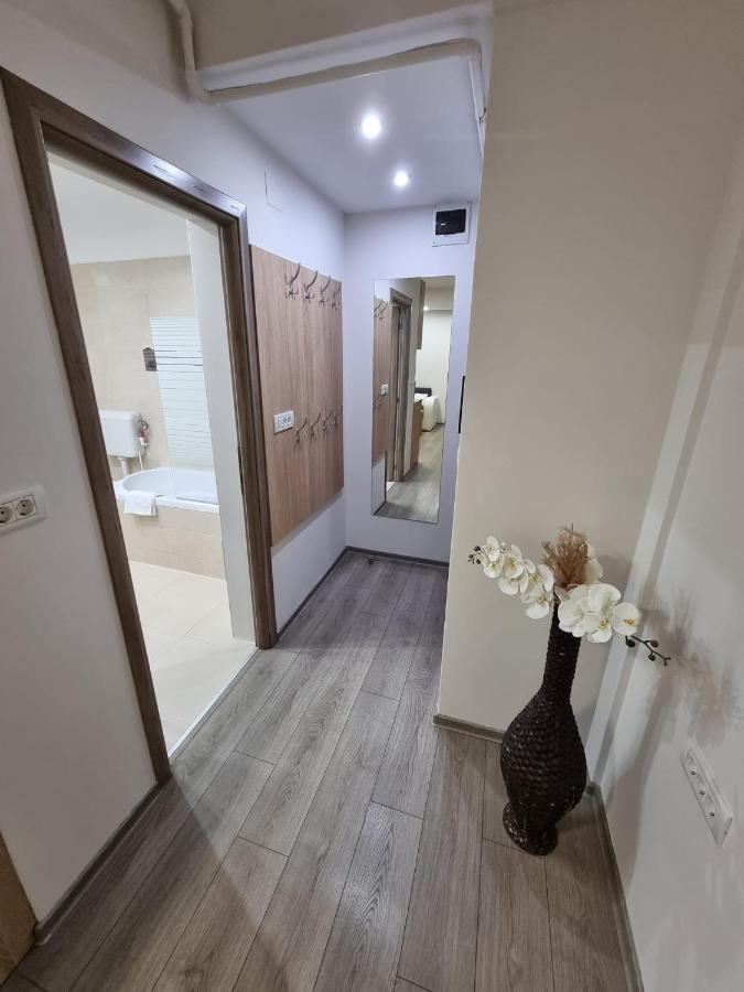 City Premium Apartments Timişoara Buitenkant foto
