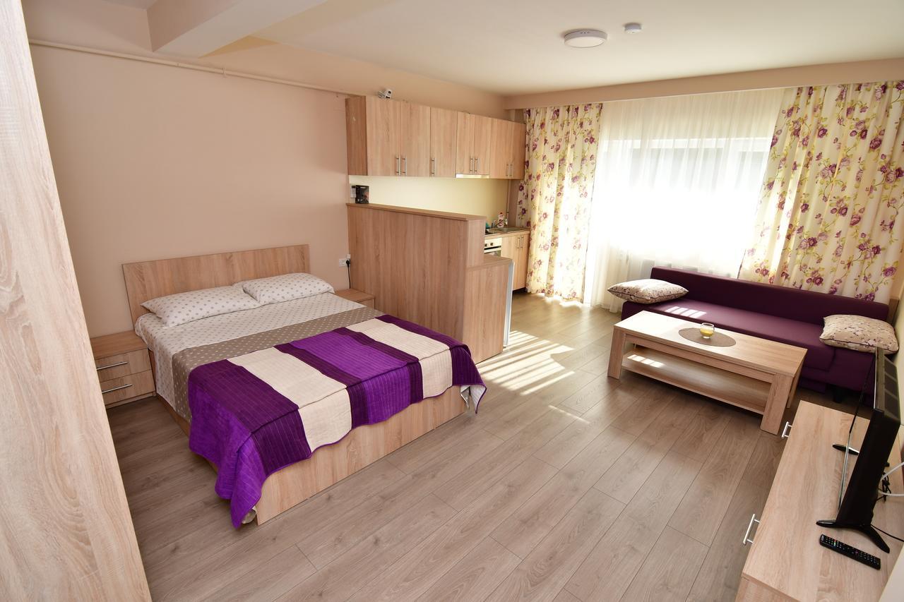 City Premium Apartments Timişoara Buitenkant foto